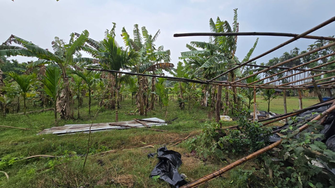 New coop frame under construction